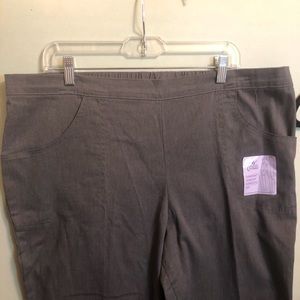 Woman’s 2x Stretch pants